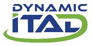 dynamic intel logo